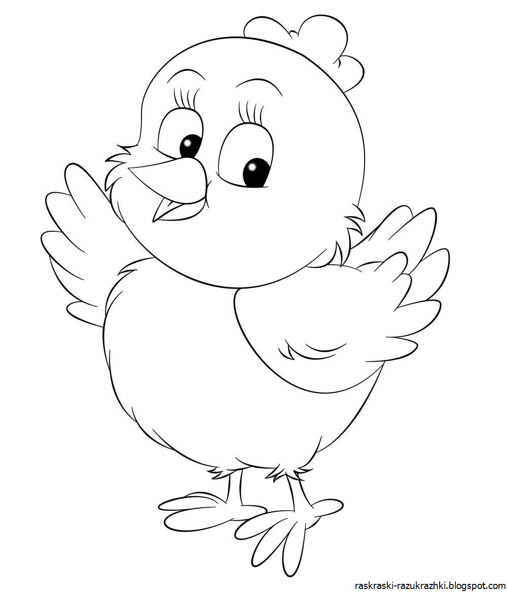 Раскраска цыпленок Пио