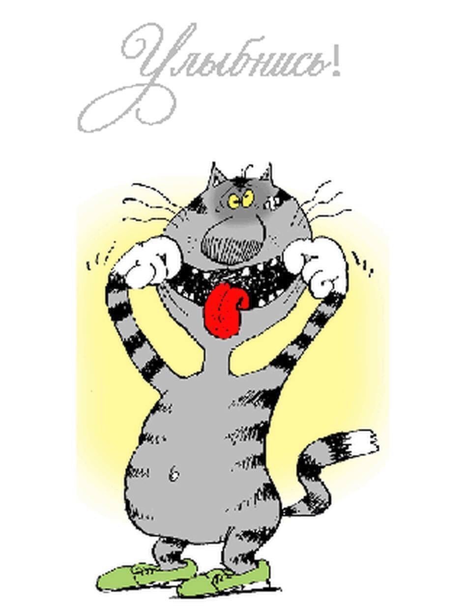 Атчум персидский кот