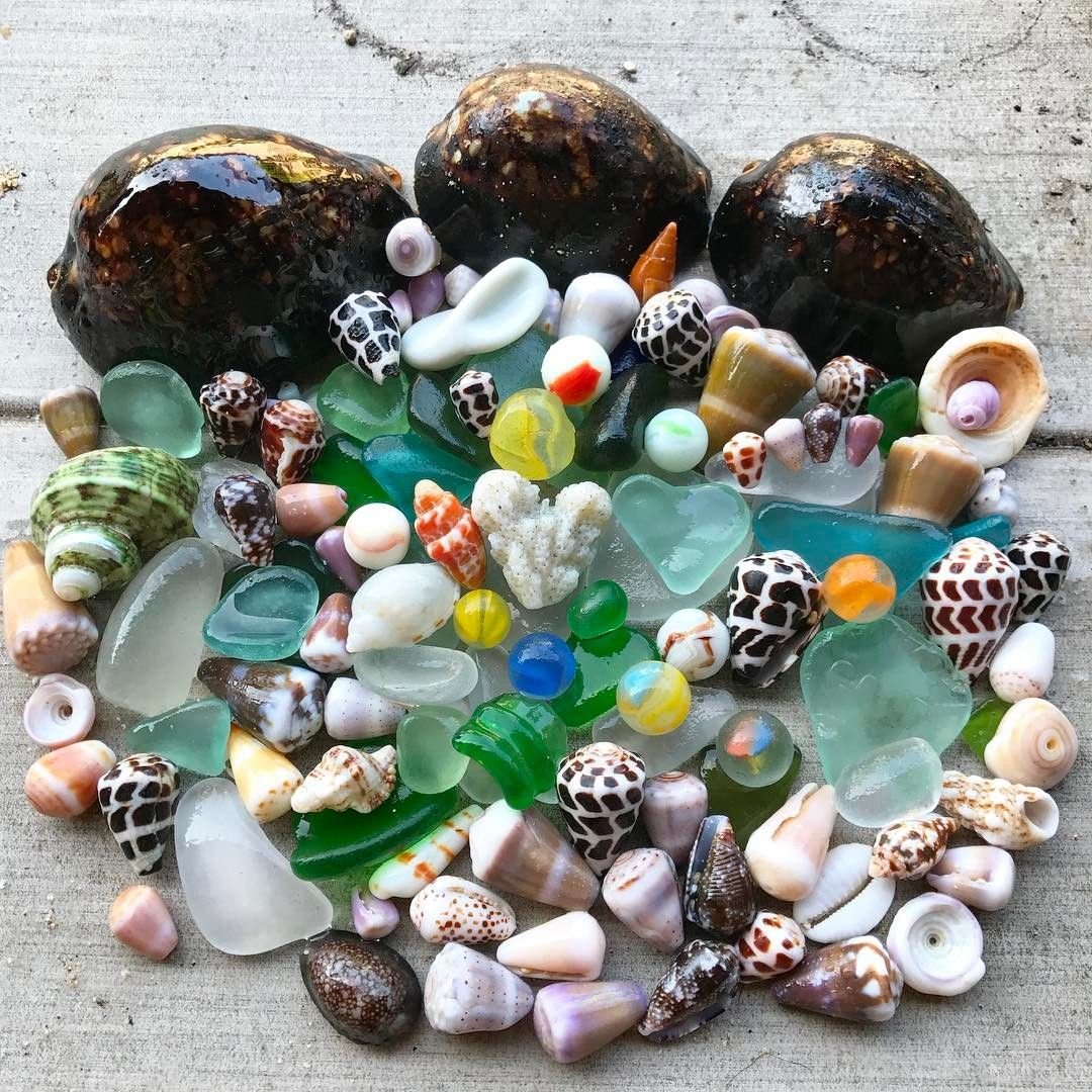 Красивые камни и ракушки
