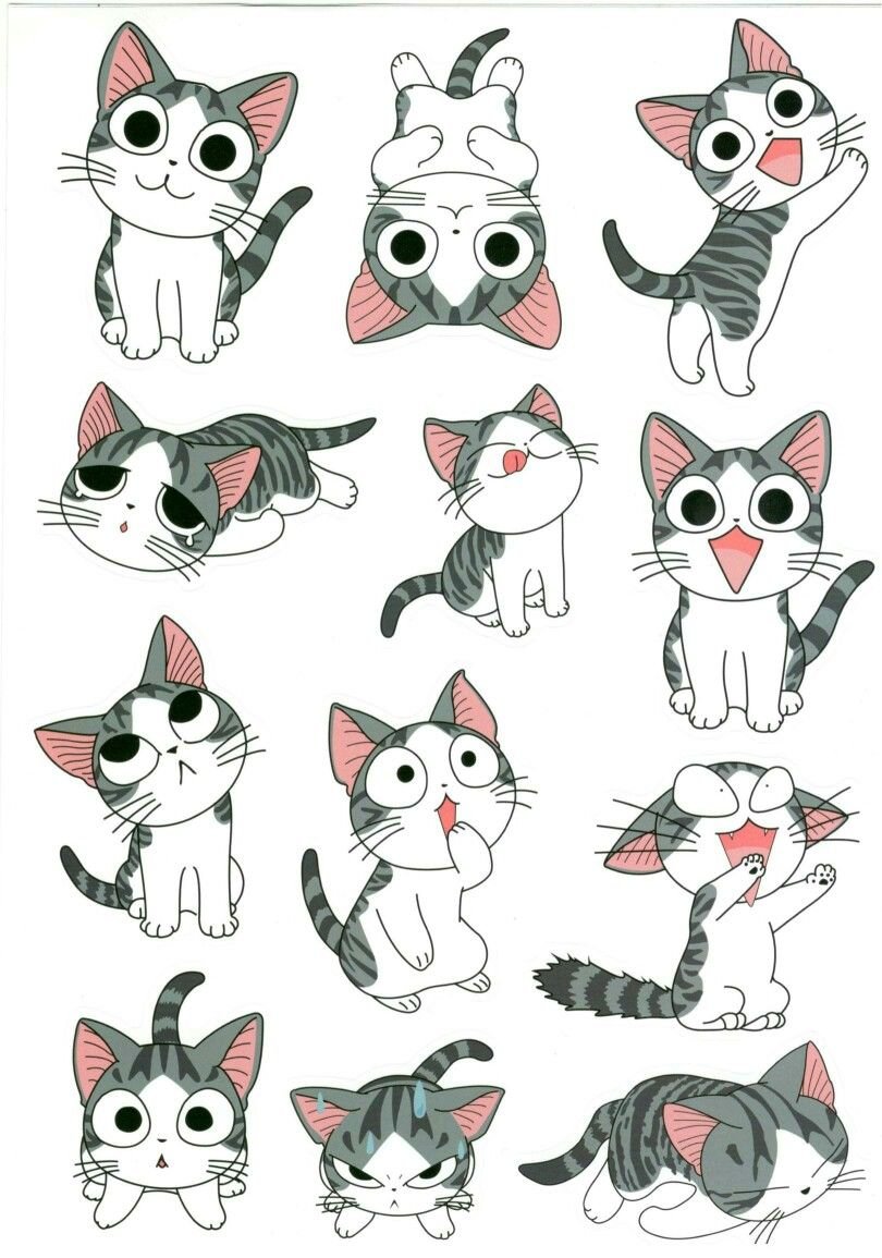 Милый котик в костюме акулы