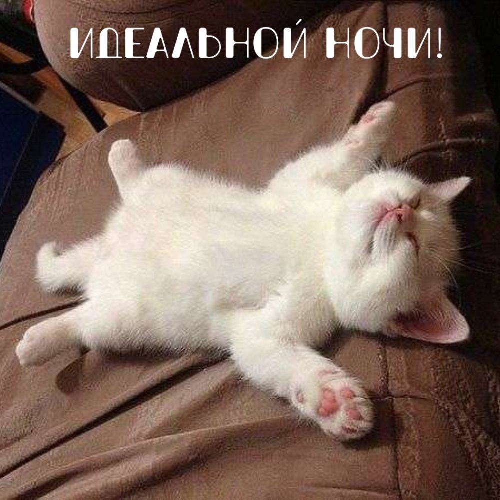 Спокойной ночи