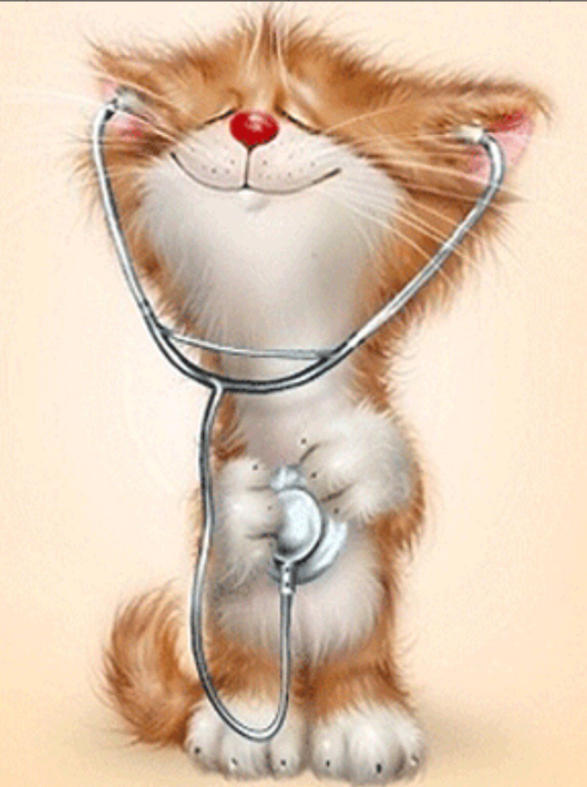 Кот с цветами и апельсинами