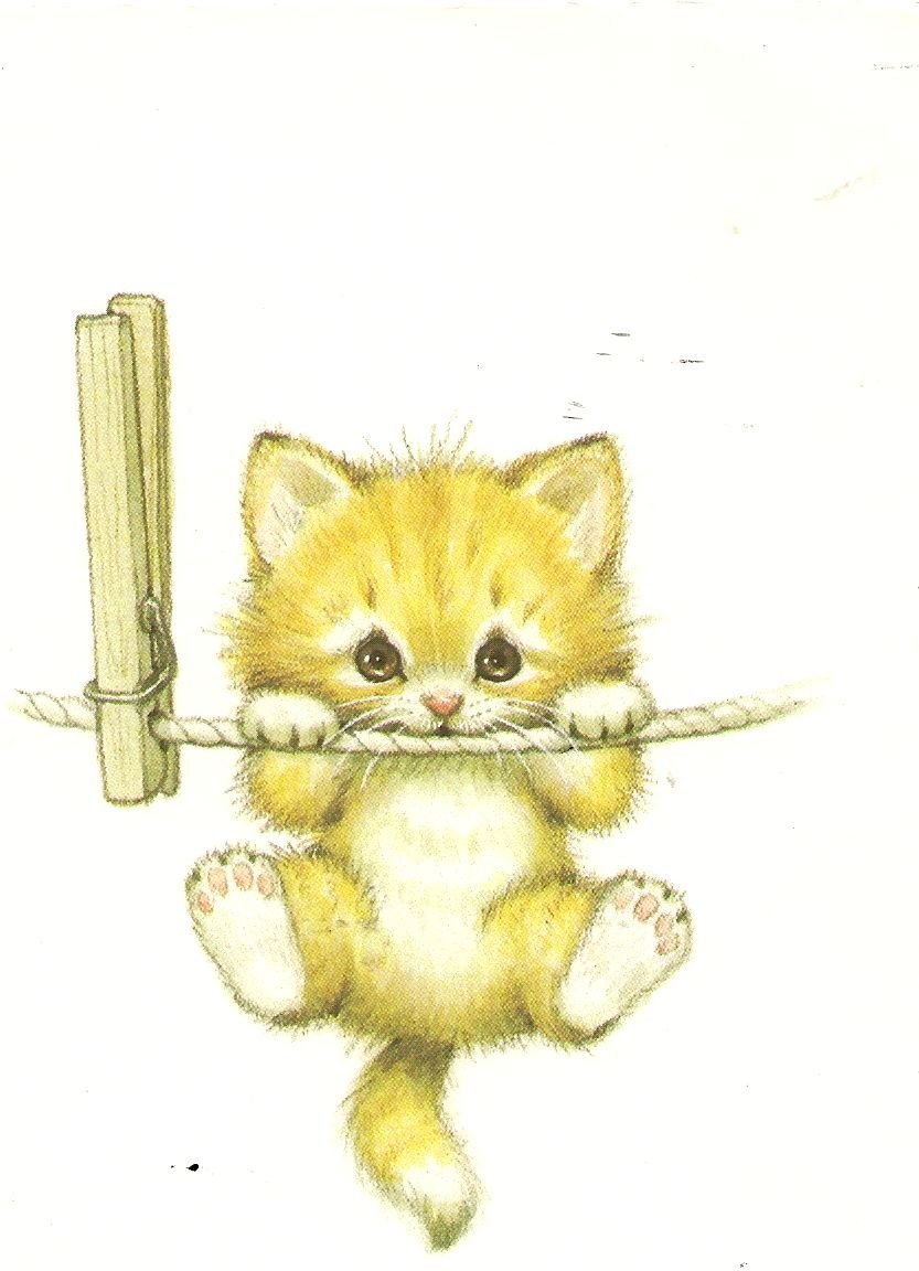 Замурррчательное утро