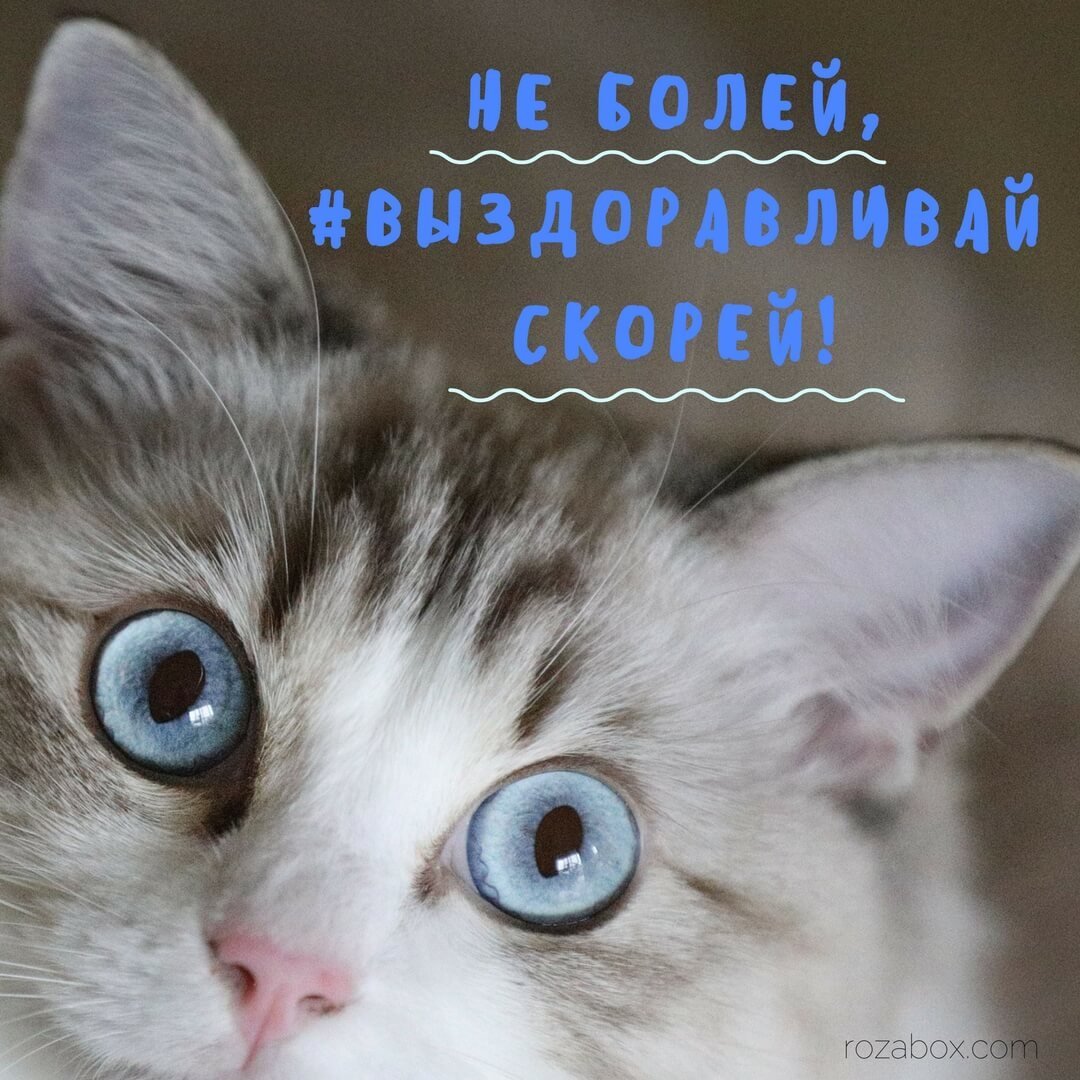 Открытка выздоравливай