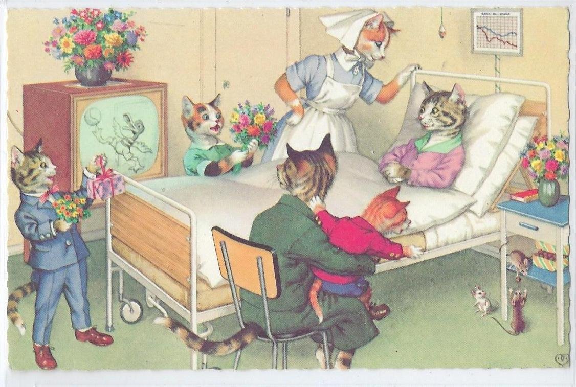 Кот с метлой подметает