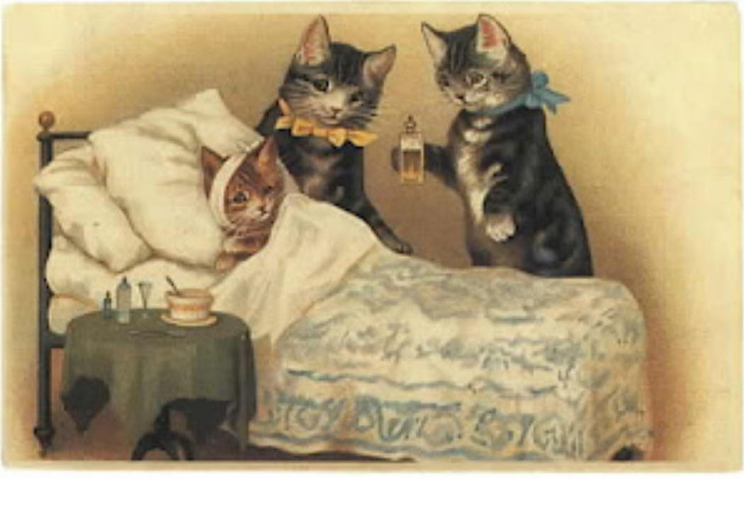 Картинки на тему выздоравливай