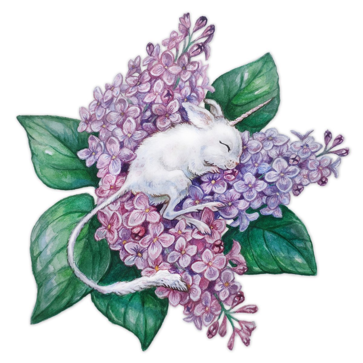 Егорнов сирень