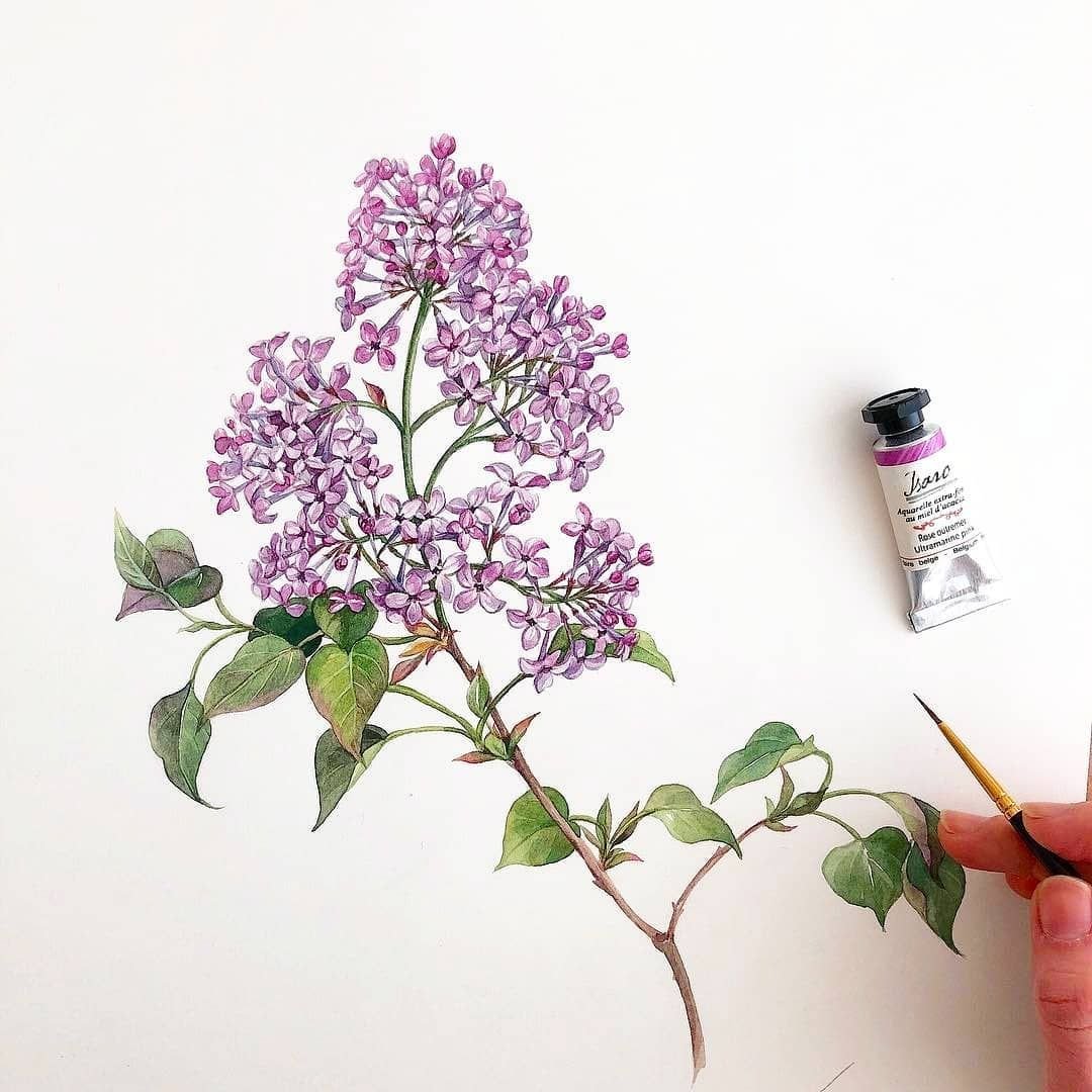 Елена Вилкова художник