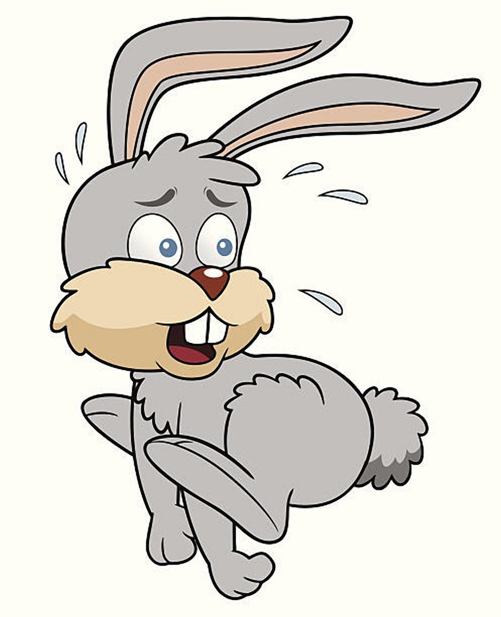 Трусливый заяц