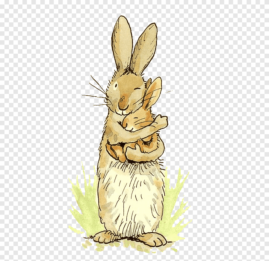 Трусливый заяц картинки