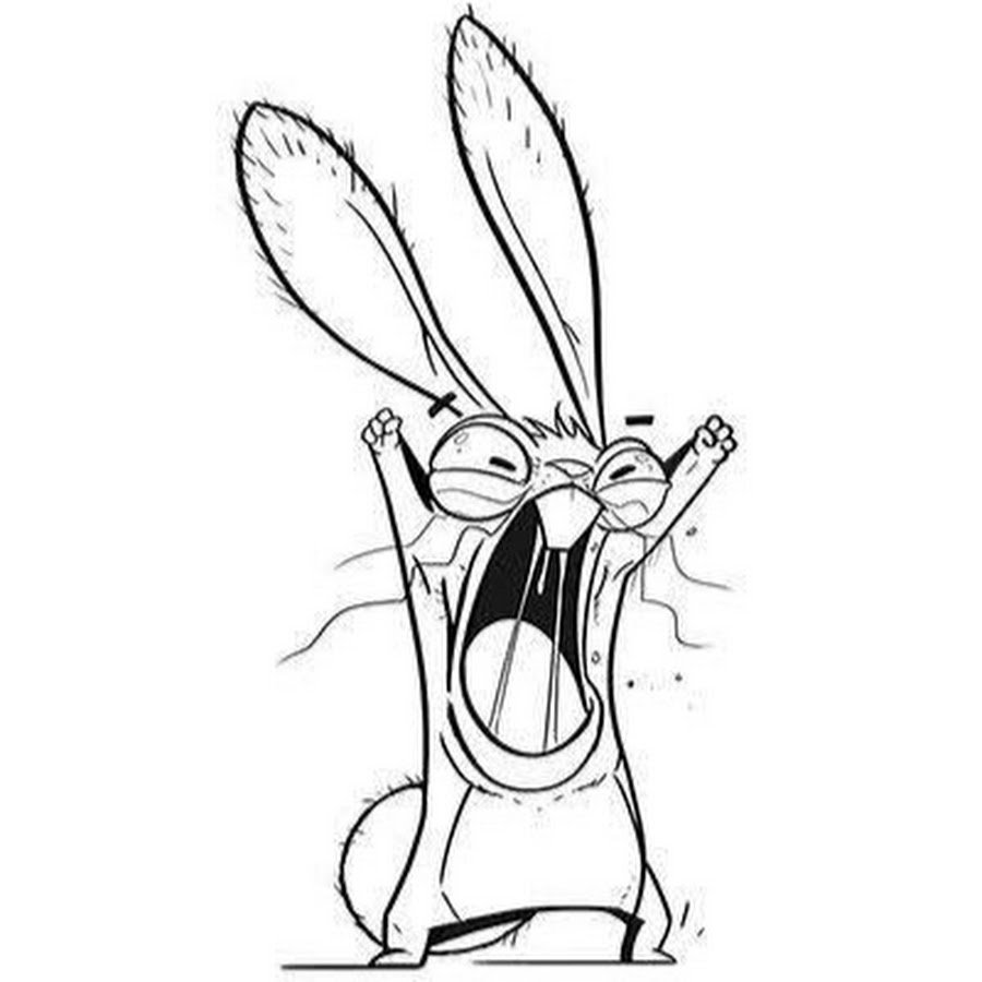 Чокнутый заяц