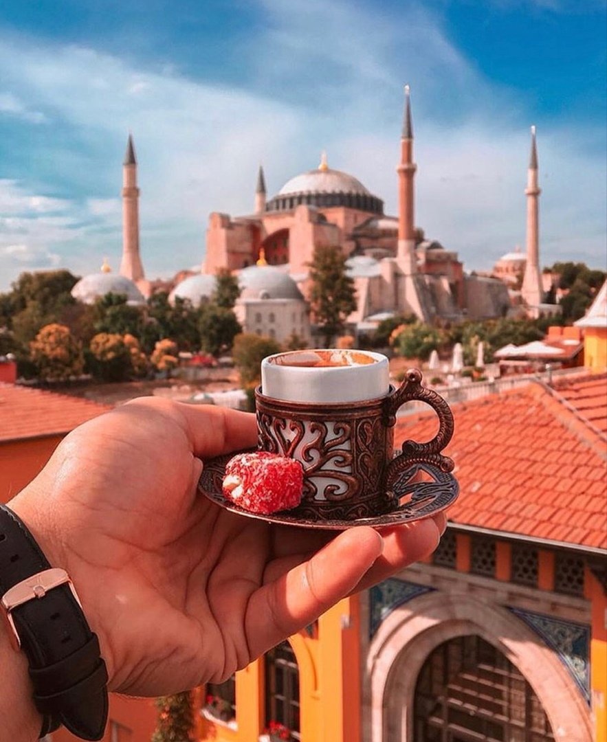 Цветы море завтрак