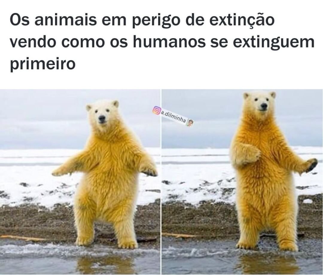 Среда мотиватор