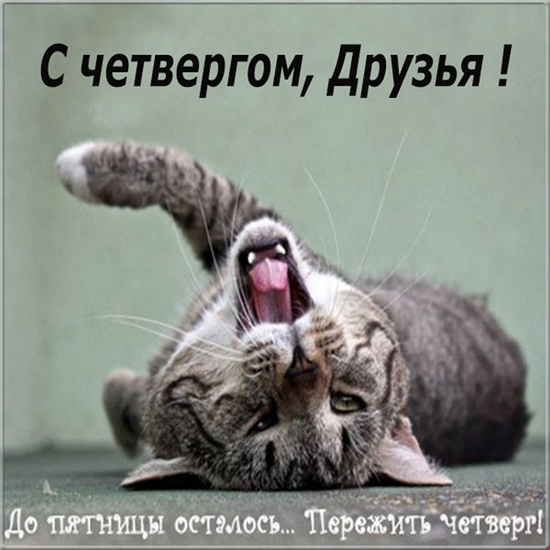 Пятница роллы