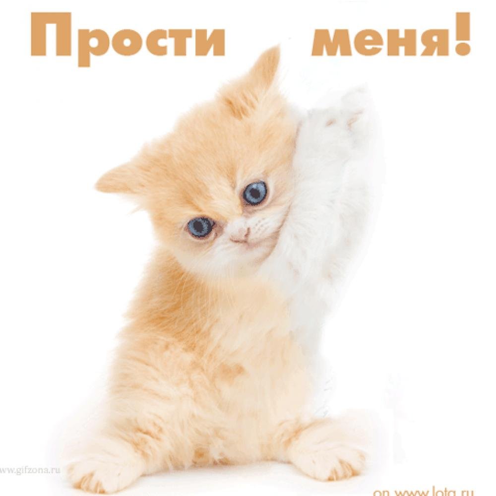 Демотиваторы про обиду