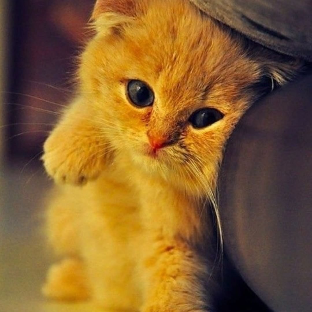 Прости меня