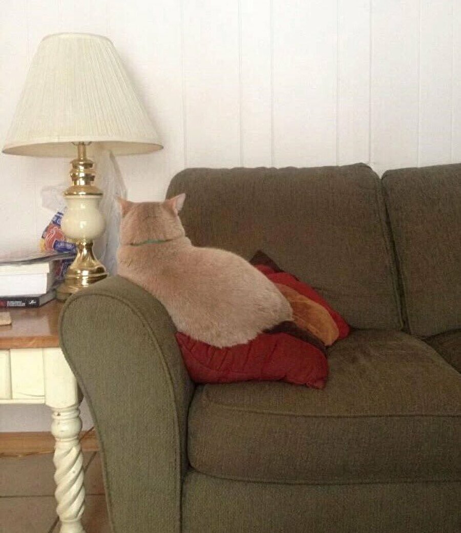 Ты обиделась нет сильно да