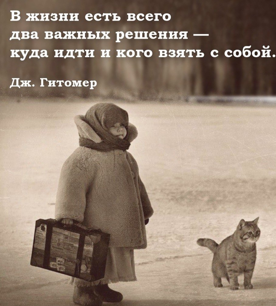 Жаба дуется