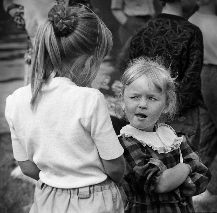 Милые животные с надписями