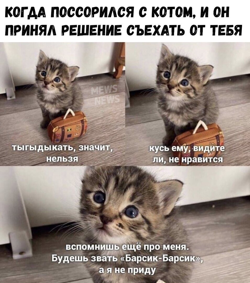 Если заю обидеть