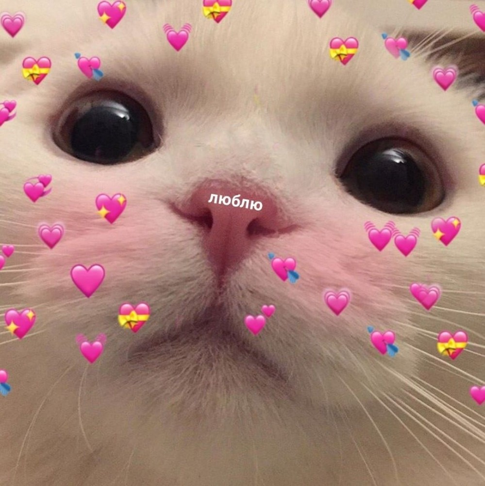 А Я уйду обид не замечая конфетку шоколадную жуя и пусть тебя полюбит