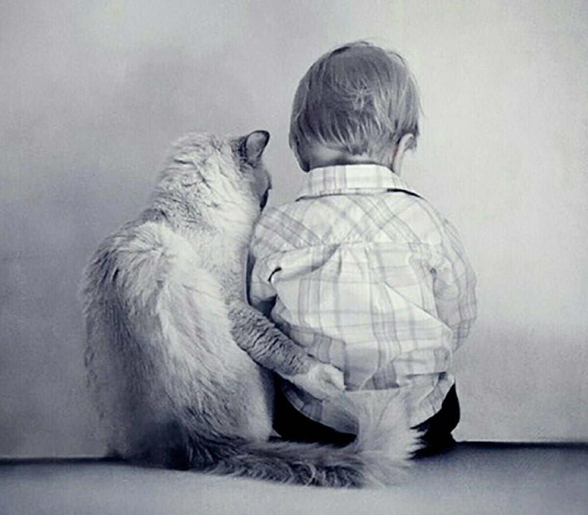 Веселые статусы про детей