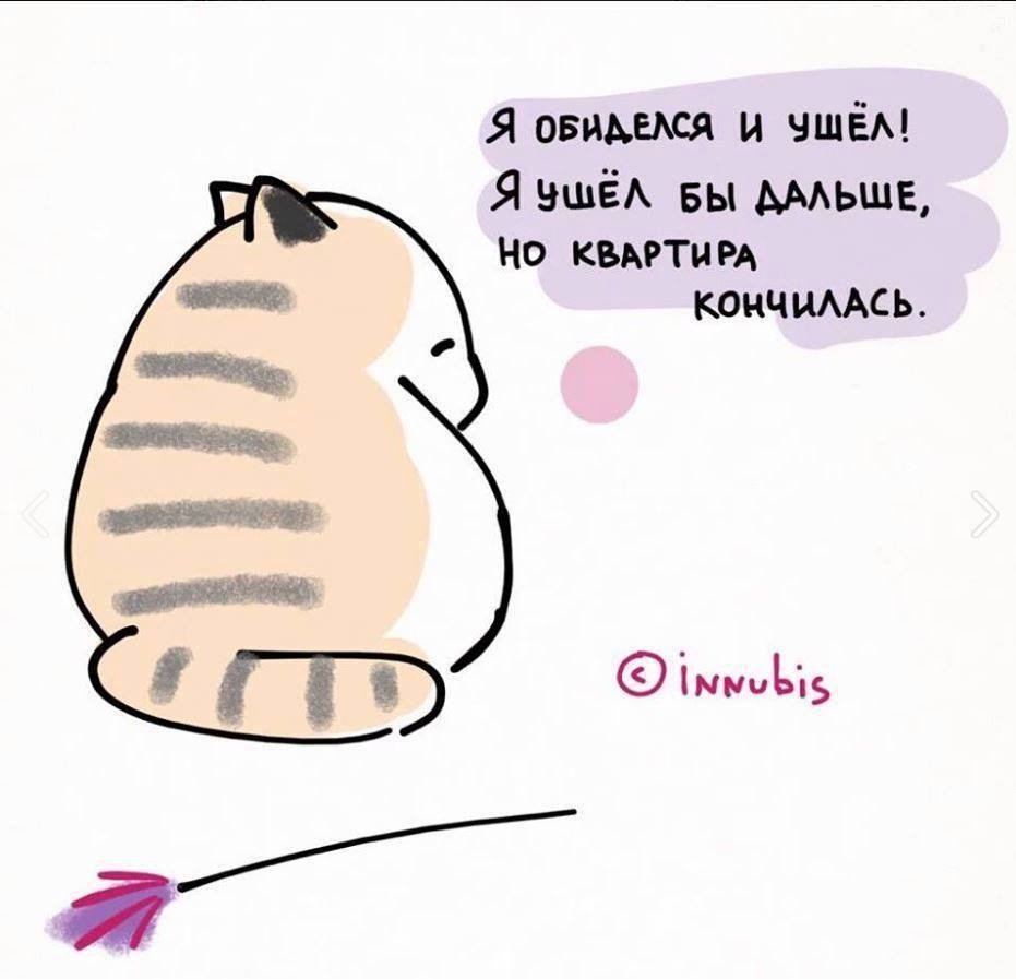 Милые пикчи с извинениями