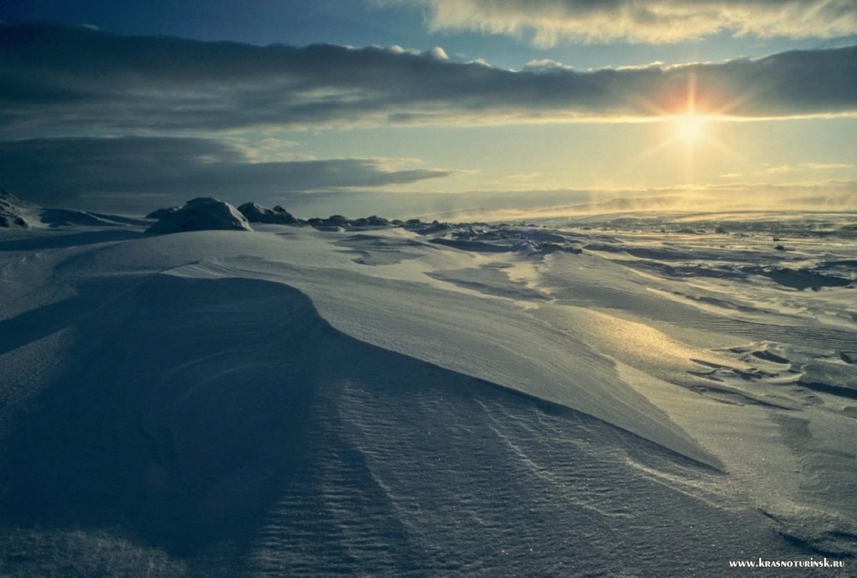 Арктическая зона