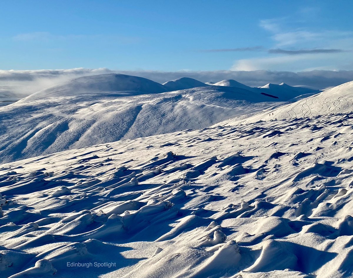 Пустыни и арктические пустыни