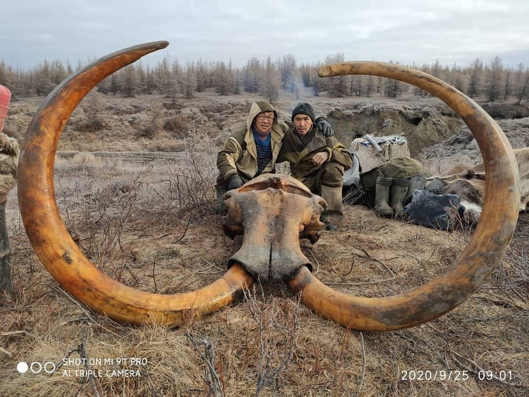 Зденек Буриан олень