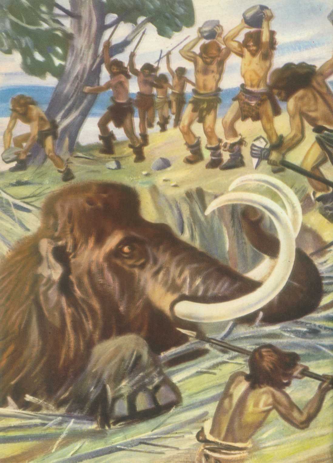 Зденек Буриан шерстистый носорог