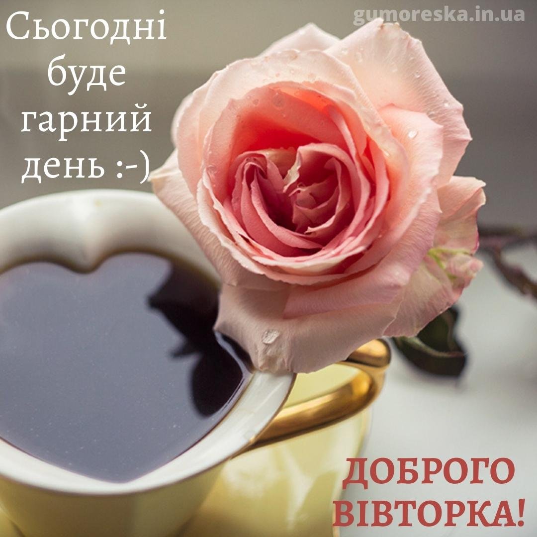 Кофе и роза