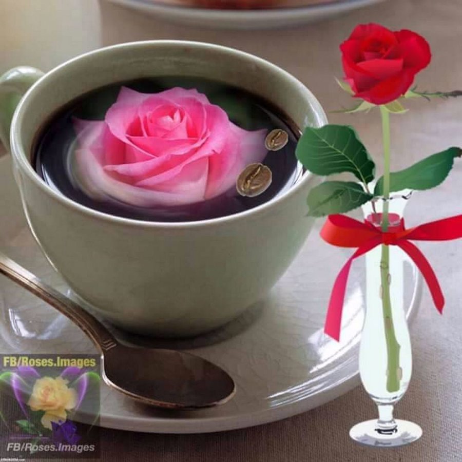 Утро любовь