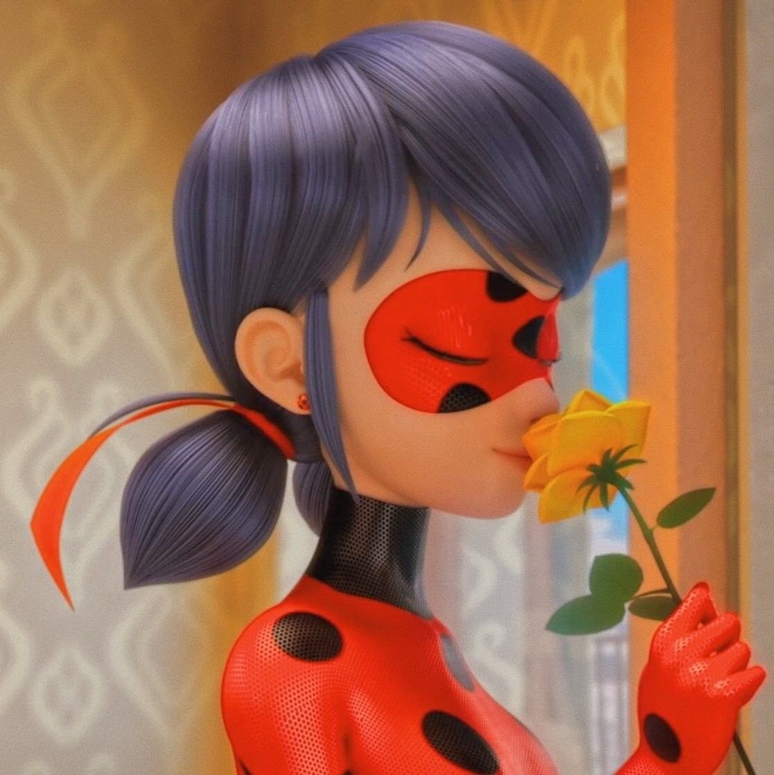 Леди баг на аву