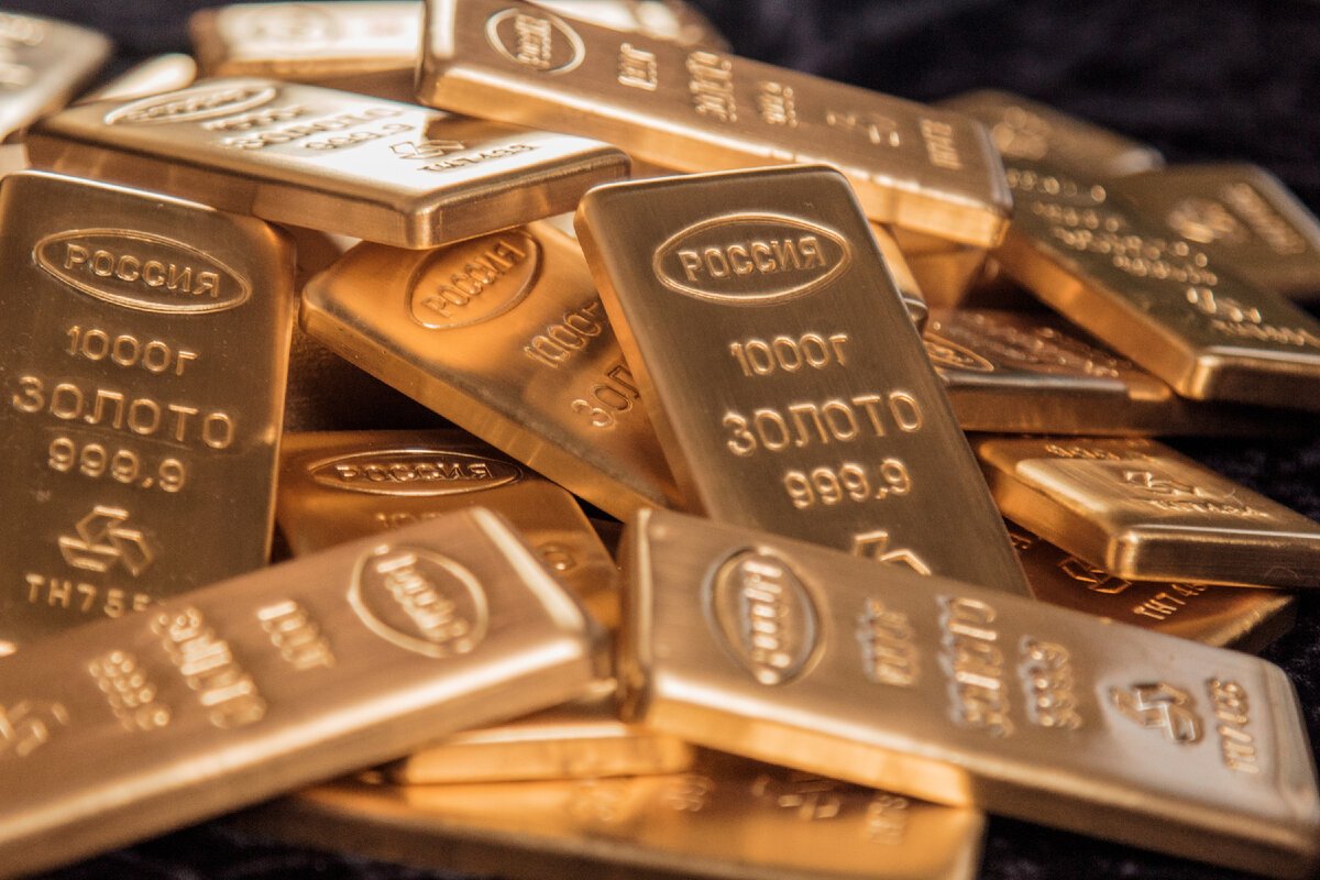 Золото в слитках в сумке