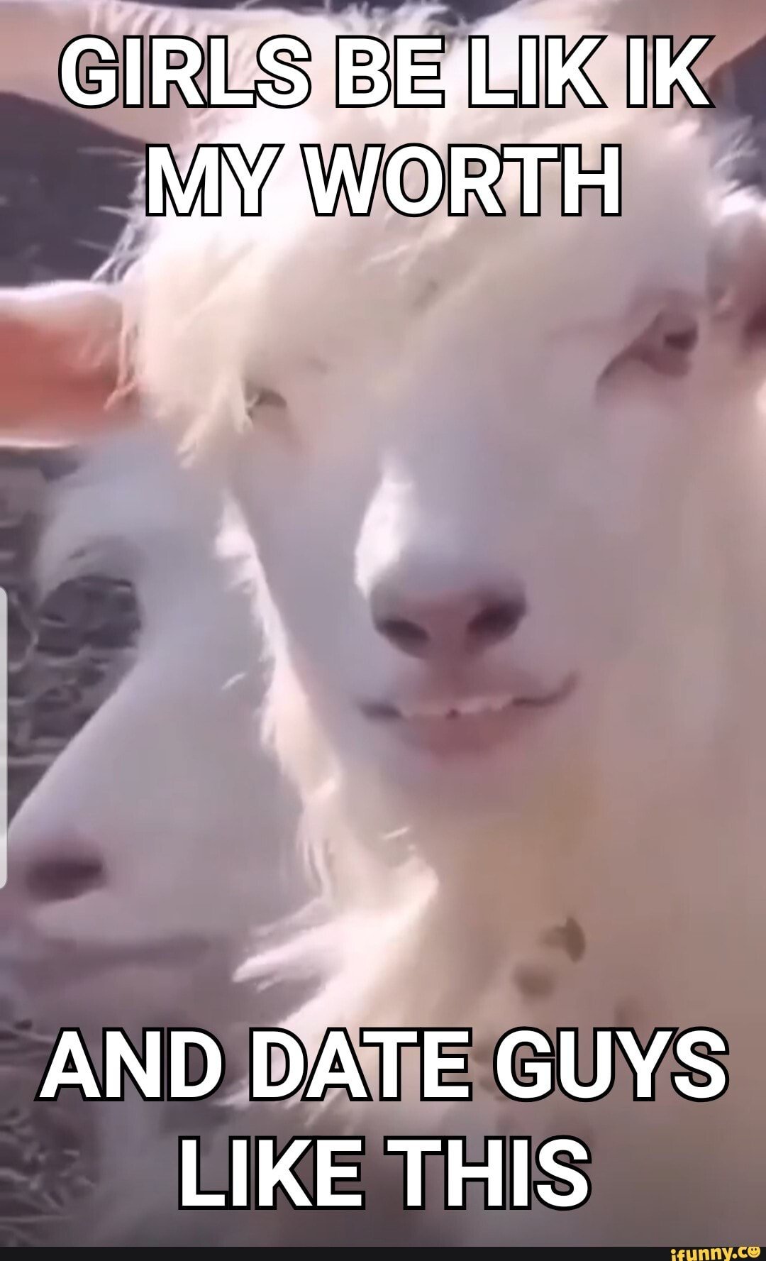 Козел смеется