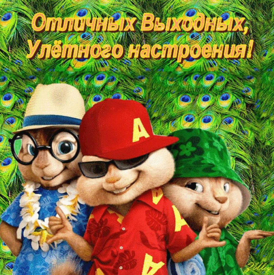 Открытки с субботой прикольные