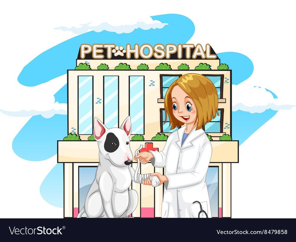 Ветеринарная клиника рисунок
