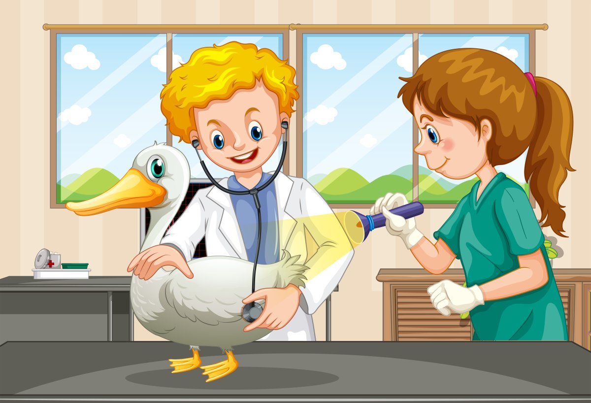 Ветеринар для срисовки