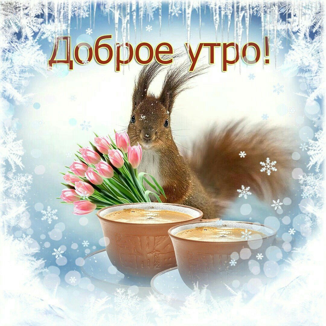 Доброе утро среда