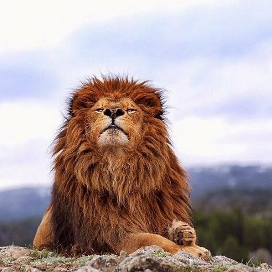 Мотивация на уверенность в себе