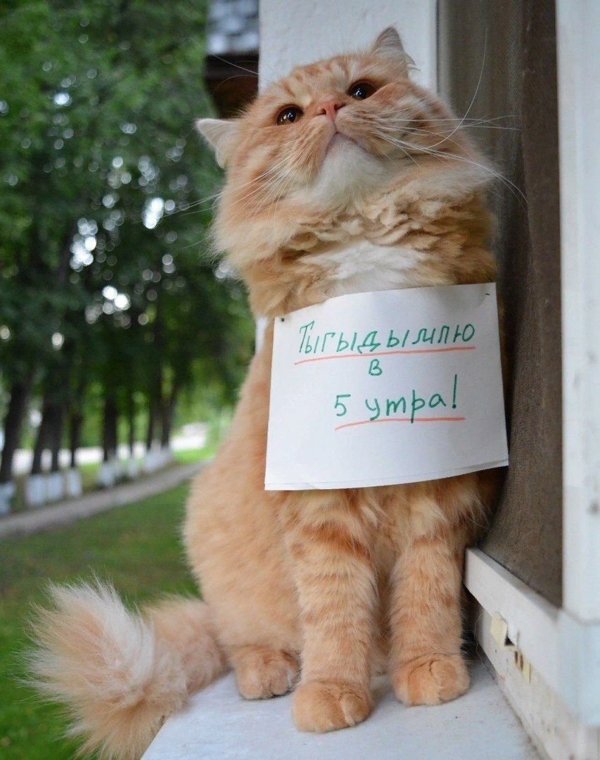 Ждун в ожидании зарплаты