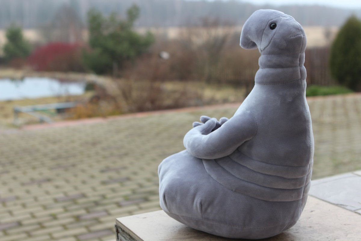 Ждун картинки