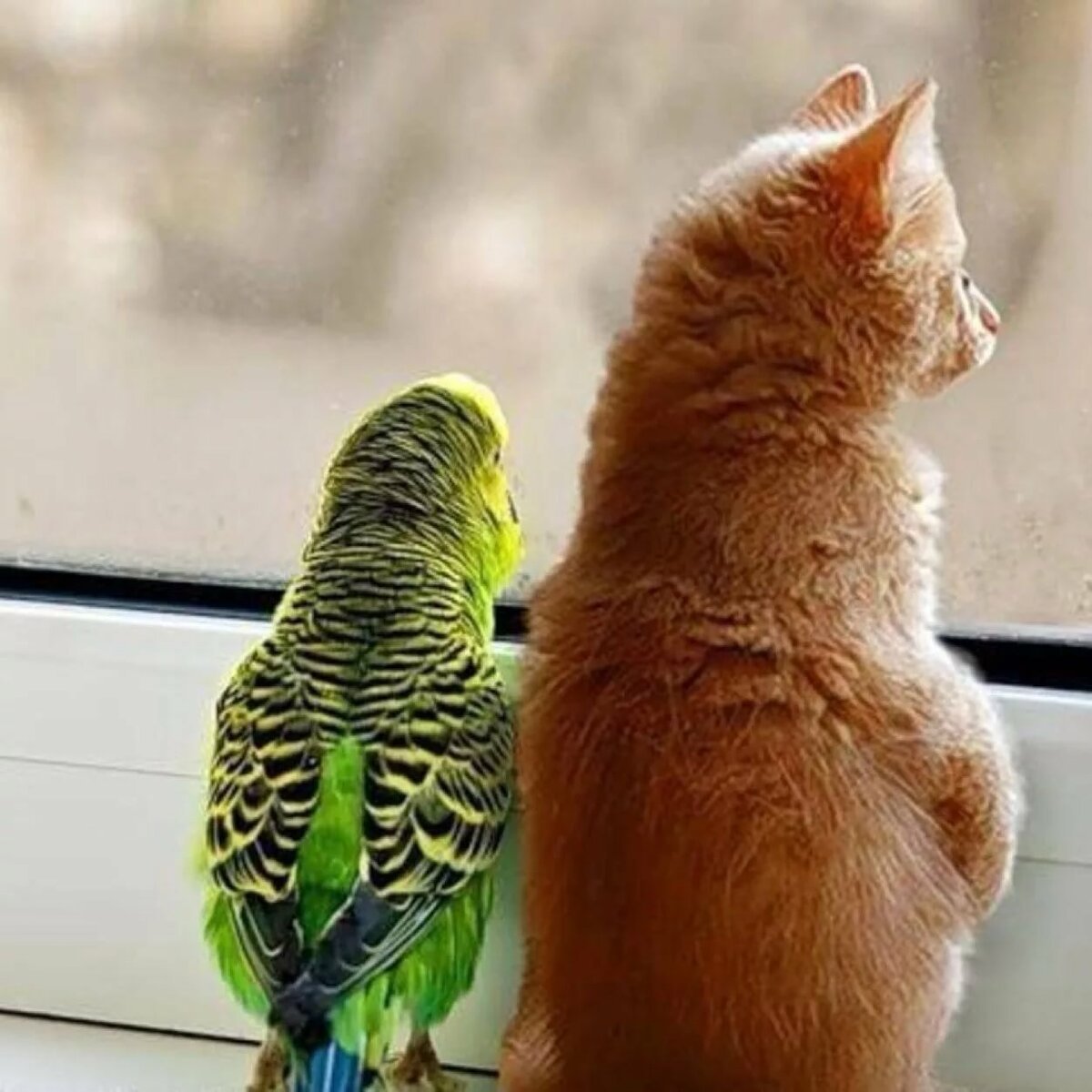 Открытки с отпуском