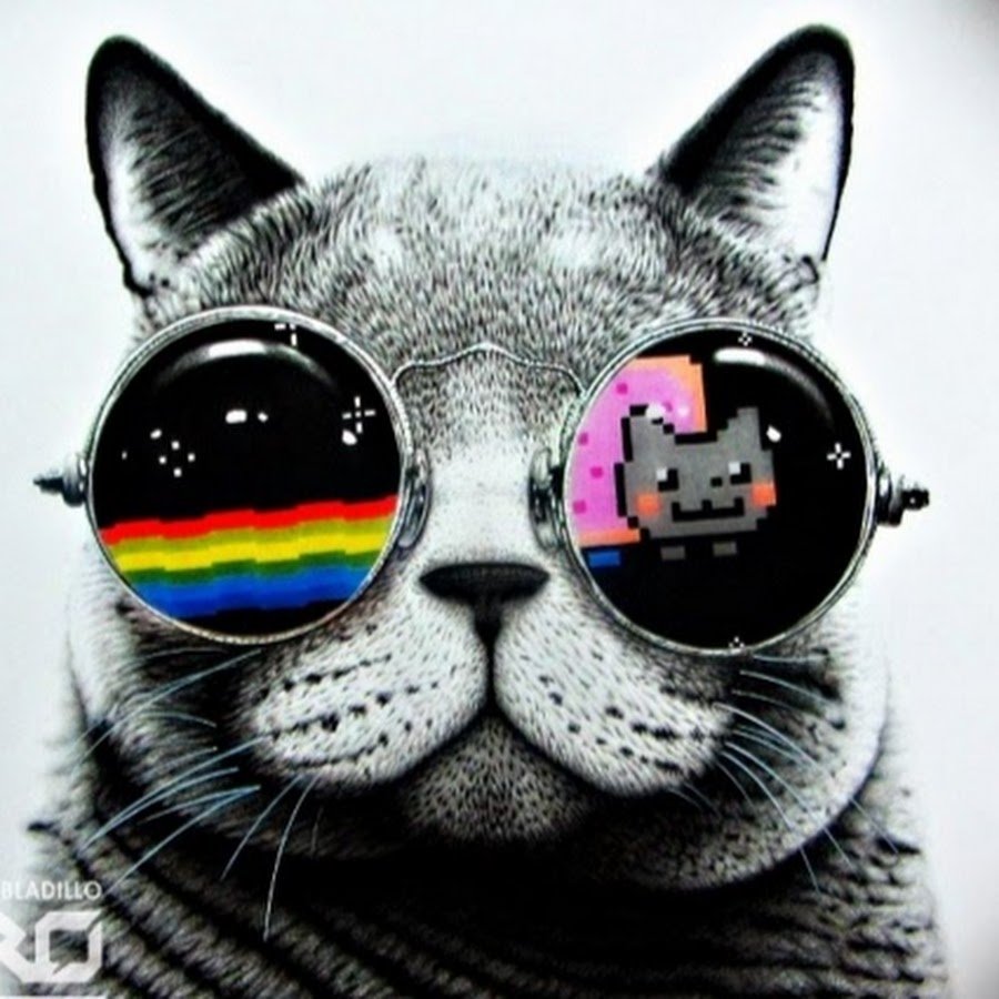 Гламурная кошечка в очках