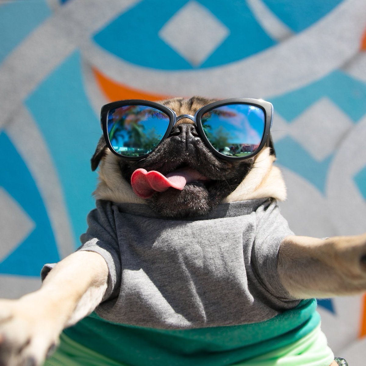 Кристина Гейер