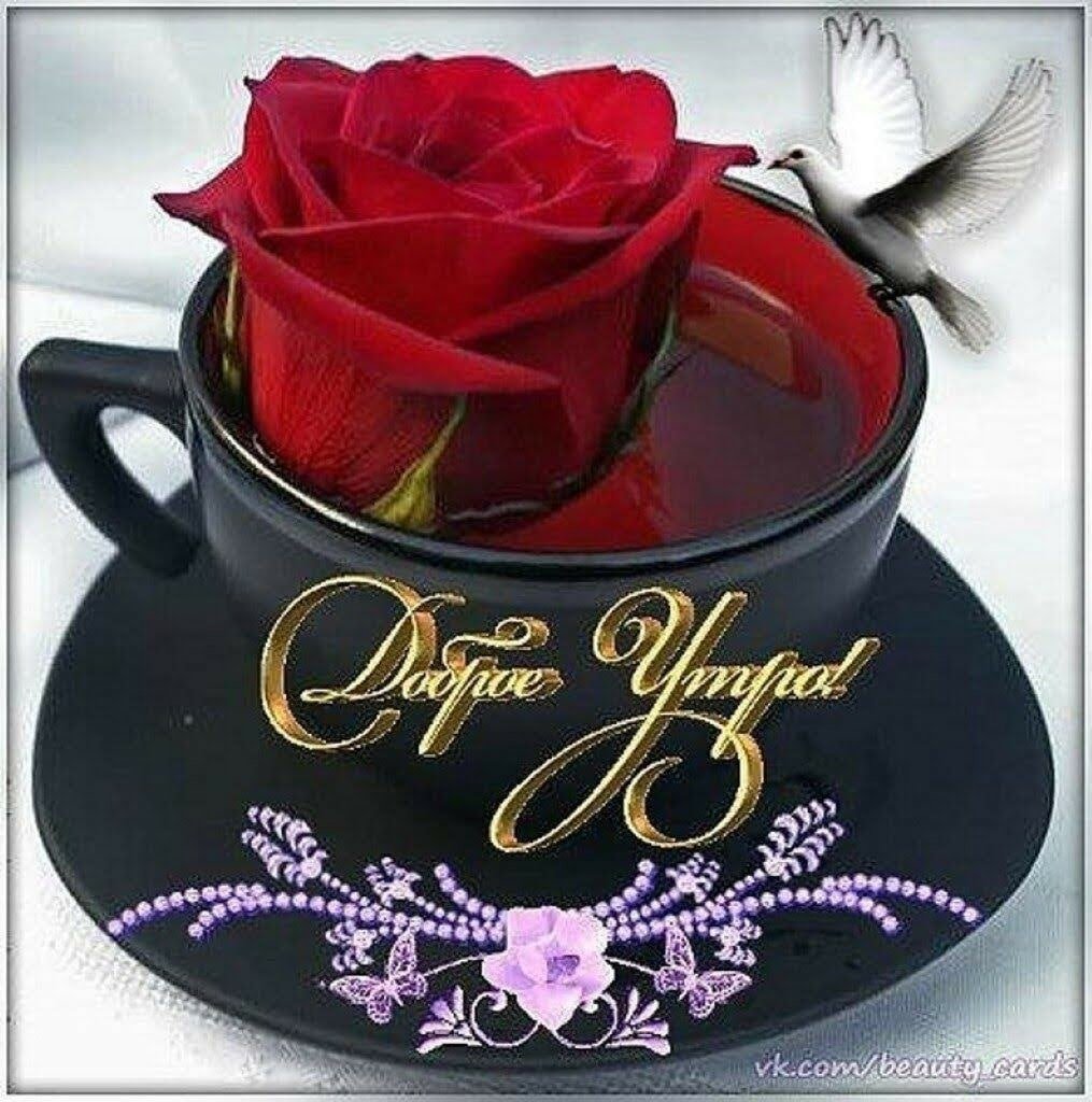 Розы с надписью с добрым утром