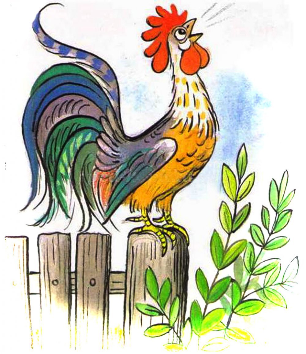 Рисование петуха
