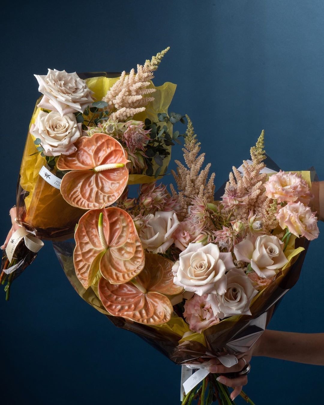 Антуриум Кларинервиум