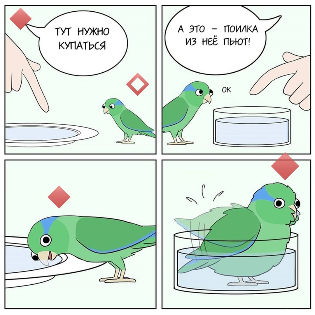 Комиксы про попугаев